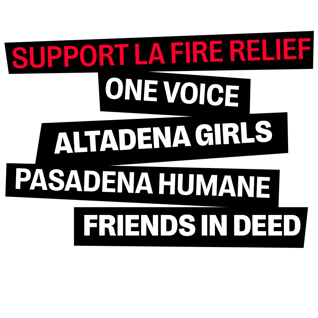 a black background with white text that says support la fire relief