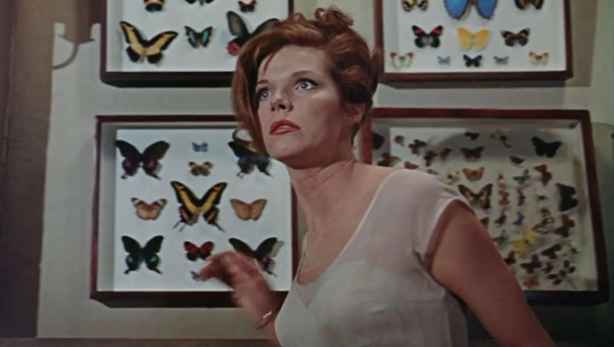 Lot #34  William Wyler “The Collector” Two Butterfly Specimen Cases, One Screen-Matched
