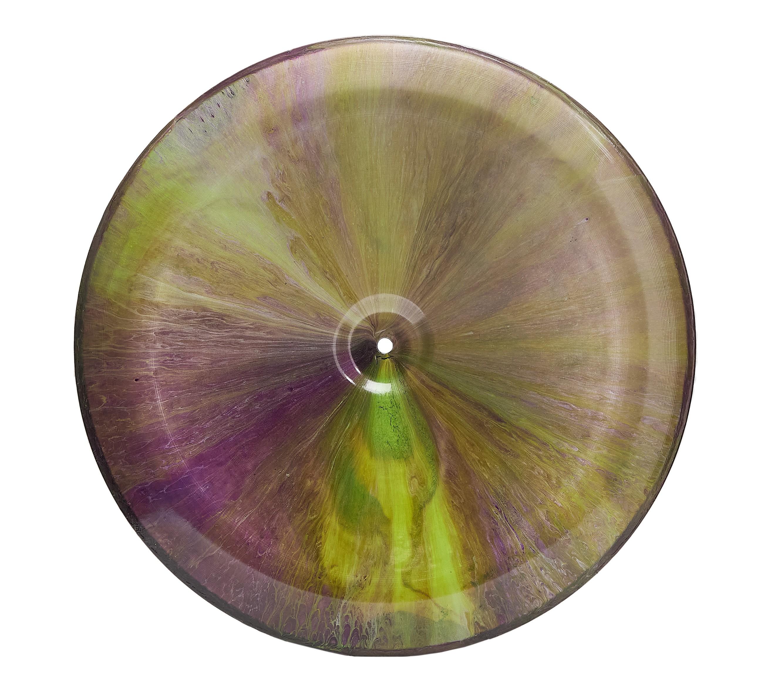 a purple and green disc with a hole in the middle