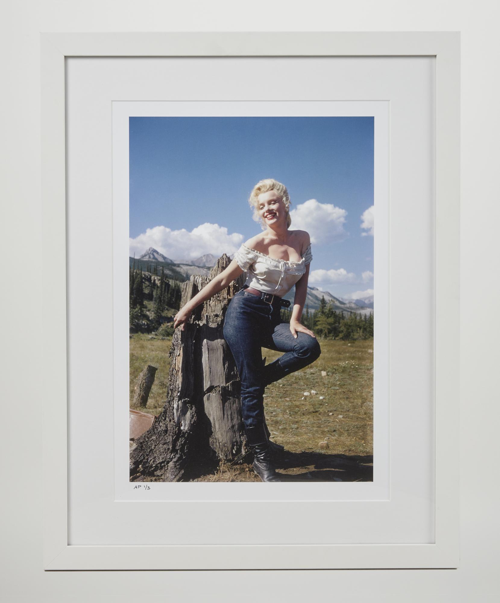 a picture of marilyn monroe leaning on a tree stump in a field .