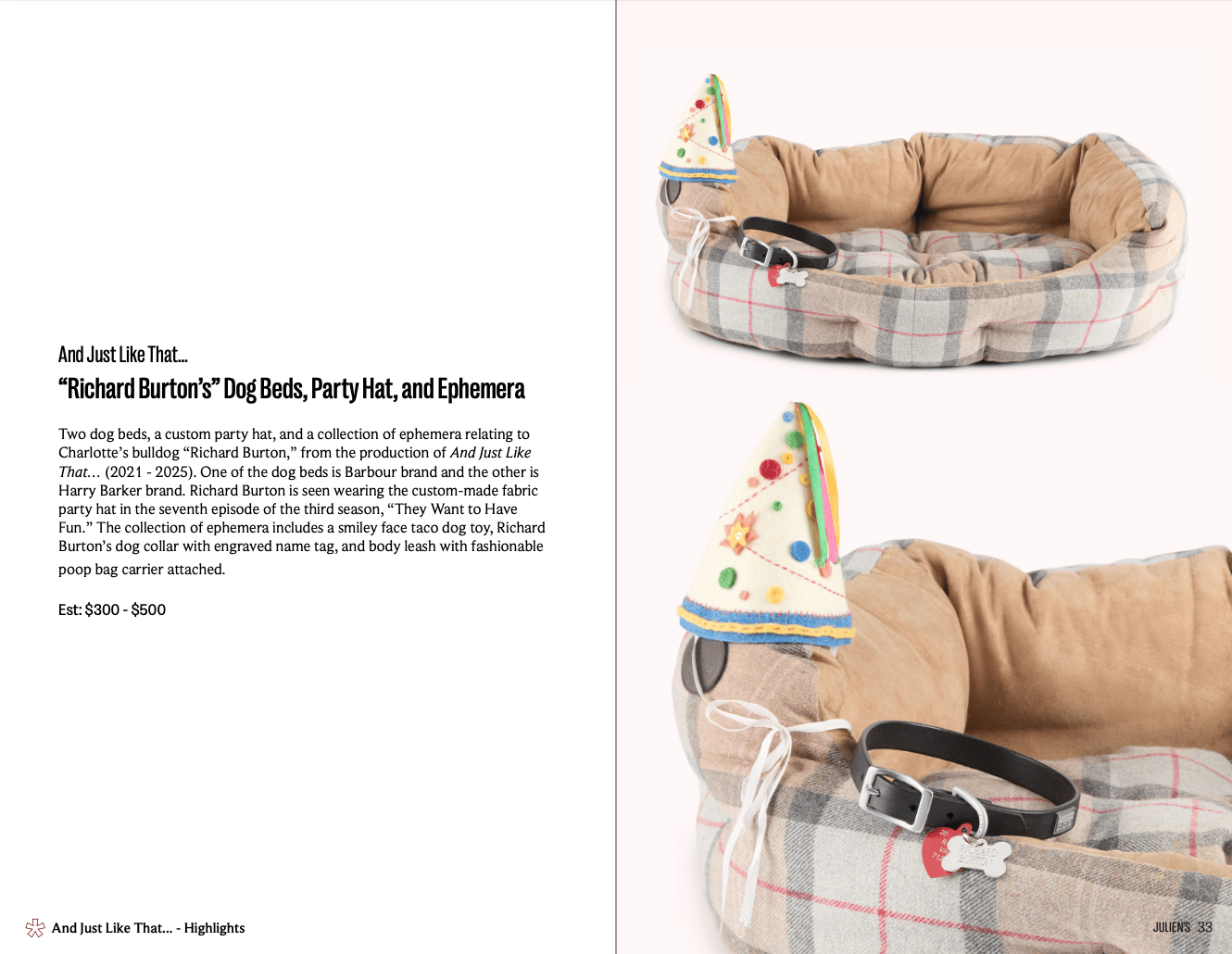 a dog bed with a party hat and collar prop