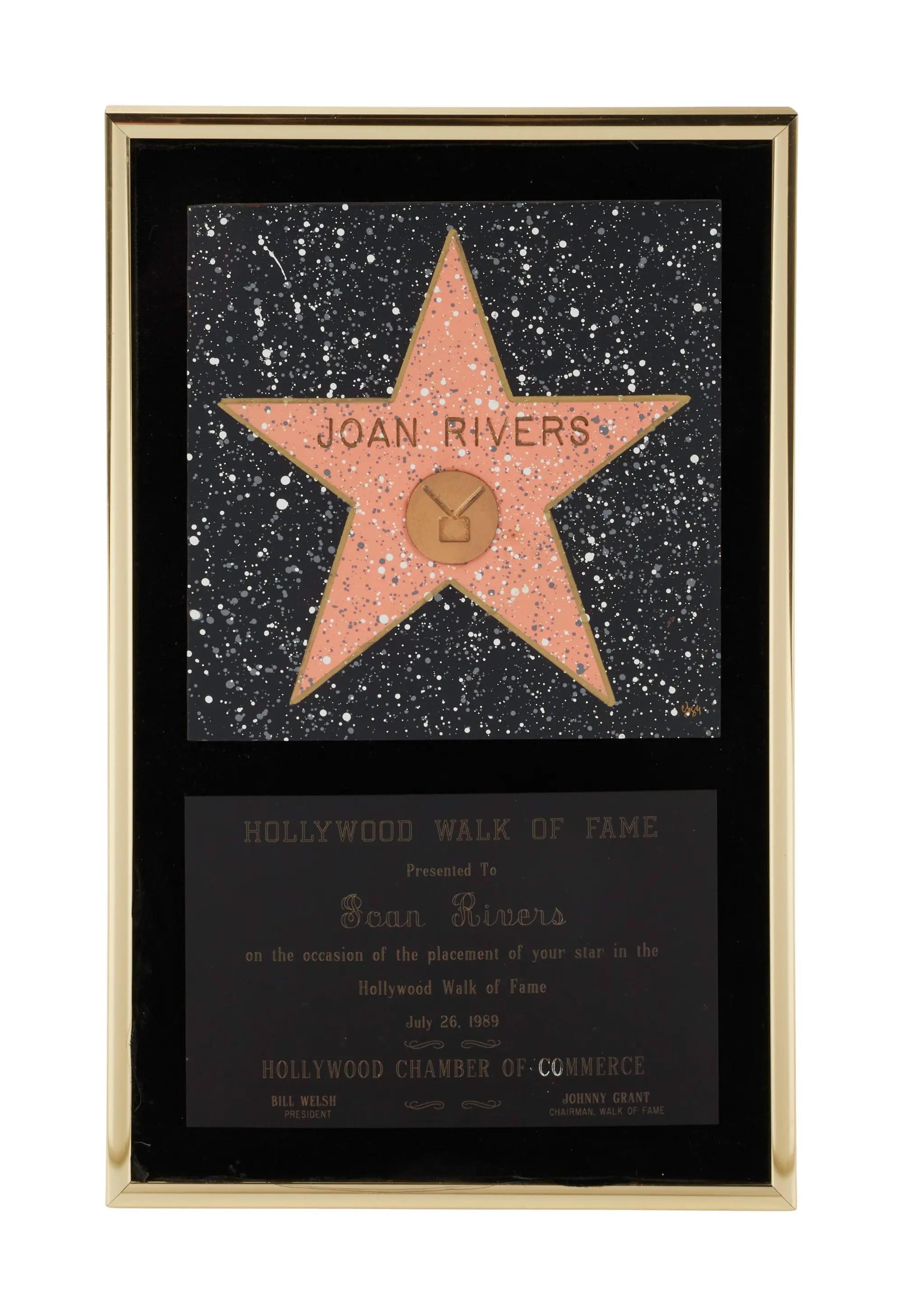 Lot #41 | Hollywood Walk of Fame Display
Lot 41 Hollywood Walk of Fame Display