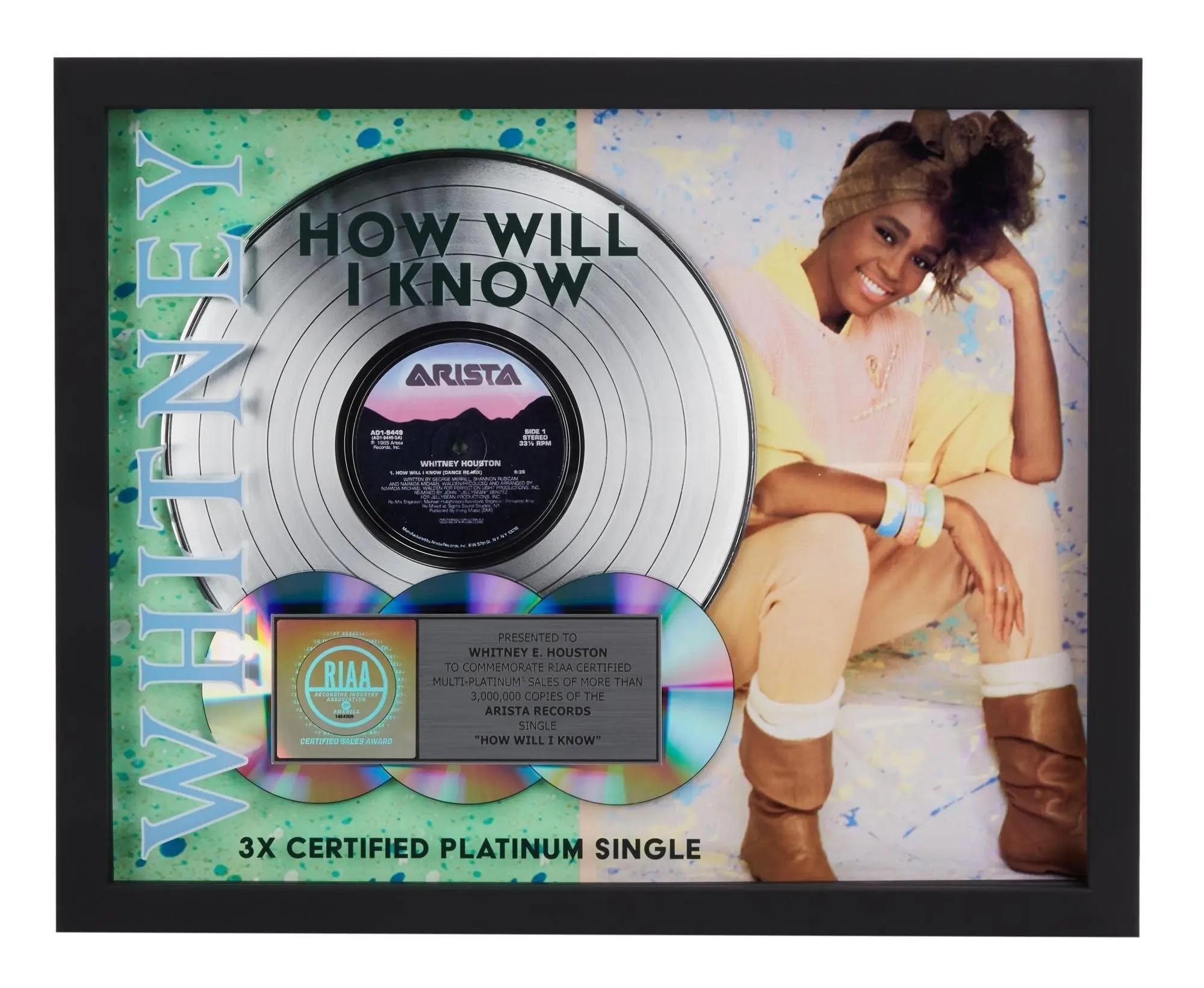 Whitney Houston ホイットニー Whitney RIAA 600万 Whitney E. Houston: Facts of Life