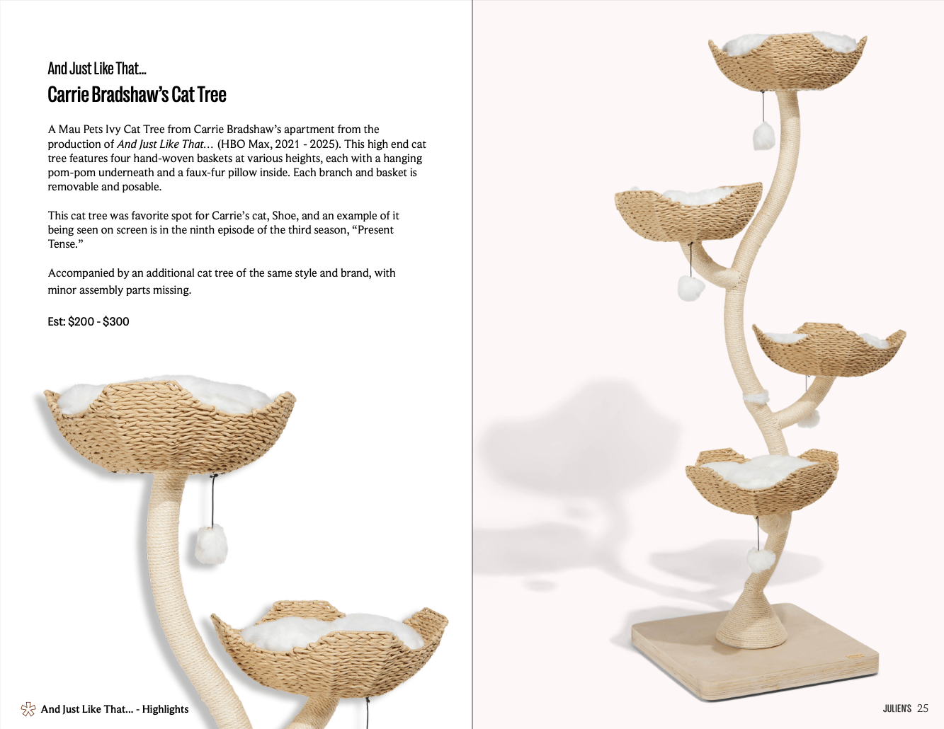 a cat tree with places for a cat to rest