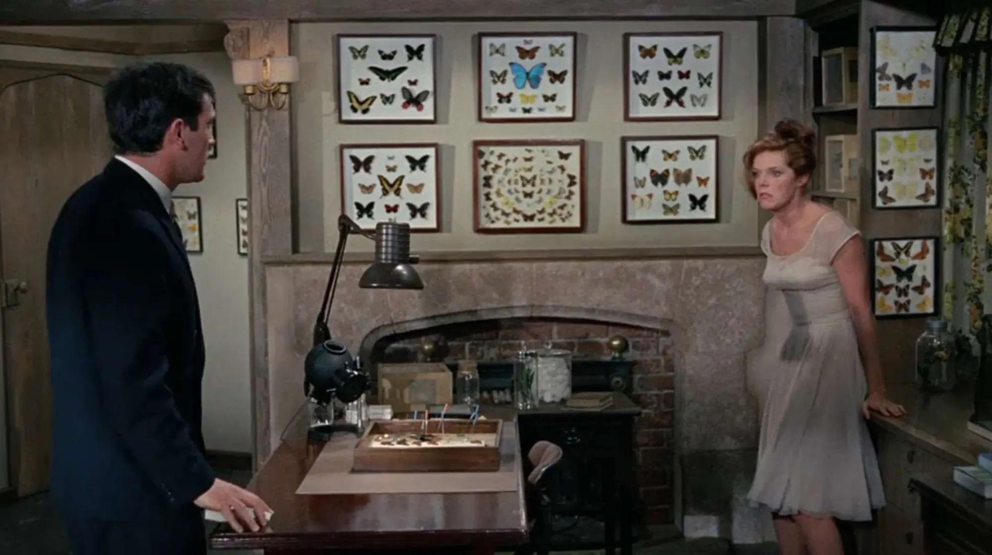 Lot #34  William Wyler “The Collector” Two Butterfly Specimen Cases, One Screen-Matched
