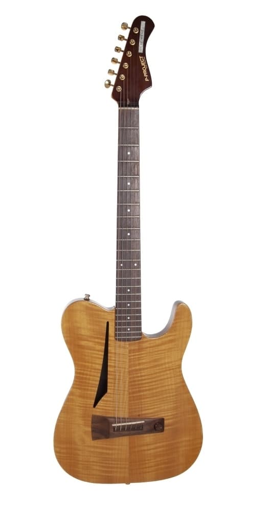 FERNANDES GUITARS 再投稿 Robin Le Mesurier | 