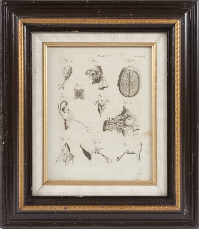 Fine and Decorative Arts/Property from the Collection of Ronnie
